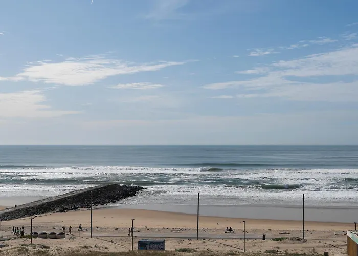 Jardim Da T3 Διαμέρισμα